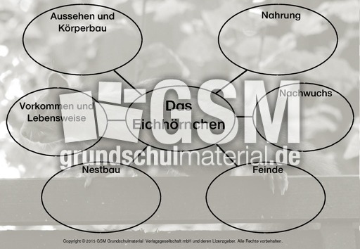 Mindmap-Eichhörnchen-D.pdf